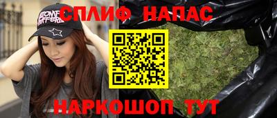 шишки Берёзовский