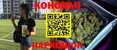 шишки Берёзовский