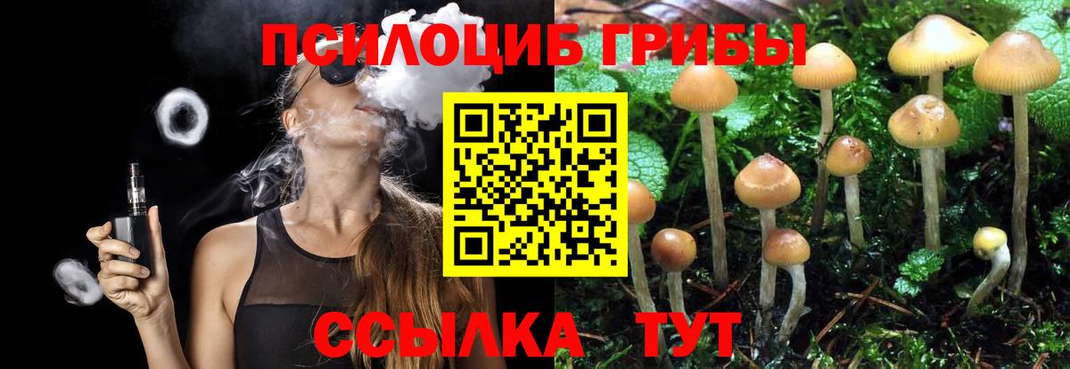 Грязи  Галлюциногенные грибы ЛСД  Галлюциногенные грибы мухоморы  Вход с VPN 